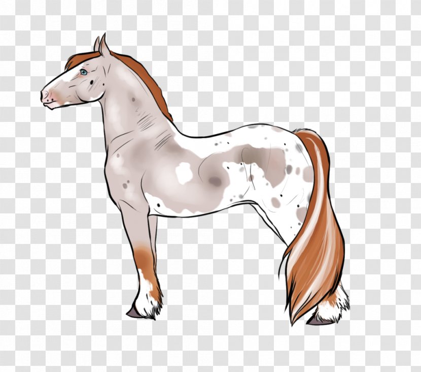 Foal Mare Mustang Halter Stallion - Mounted Archery Training Transparent PNG