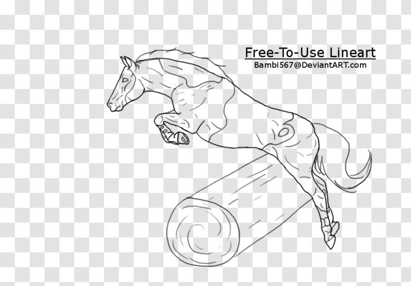 Mane Bridle American Paint Horse Pony Mustang Transparent PNG