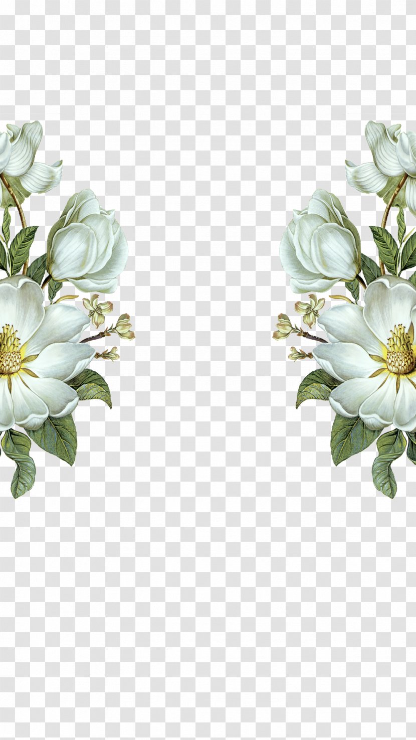 Pure And Fresh Flowers - Poster - Pattern Transparent PNG