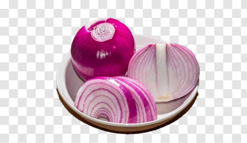 Onion Ring Vegetable Food - Gratis - Dish Transparent PNG
