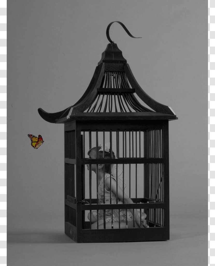 Birdcage Parrot Aviculture - Cage - Bird Transparent PNG