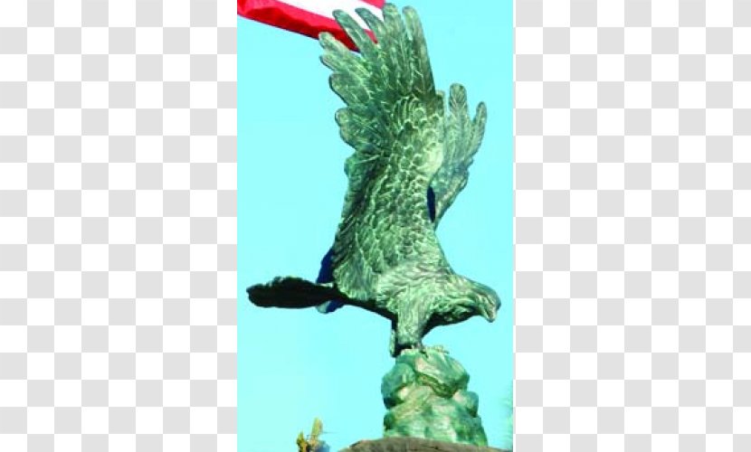 Eagle Brass Drinking Fountains Statue - Fauna - Freedom Transparent PNG