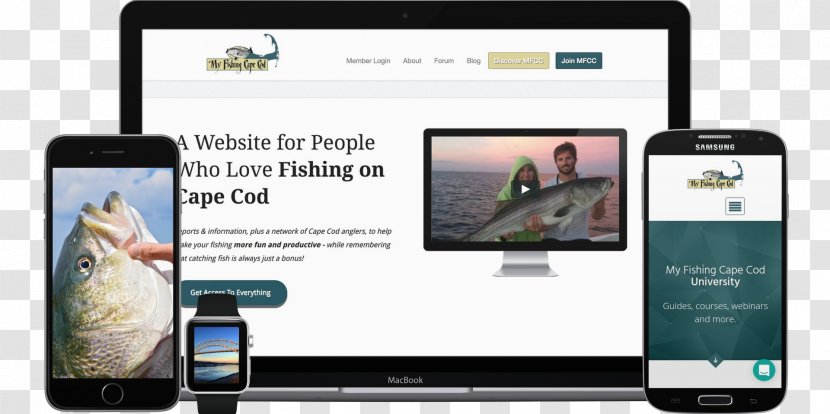 Smartphone Display Advertising Multimedia Electronics - Cod Fish Transparent PNG