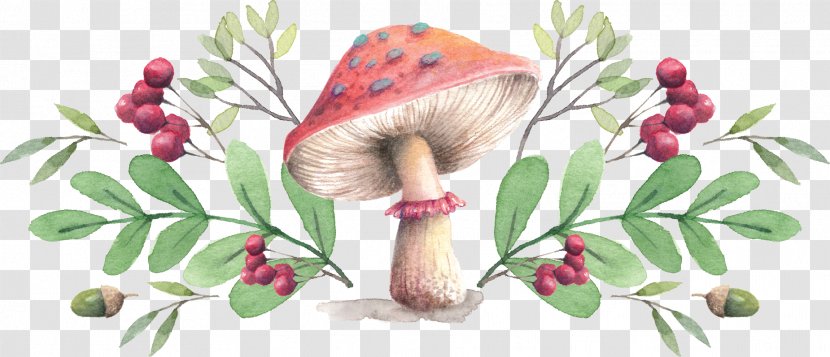 Mushroom Farmers' Market Throw Pillow Cushion - Illustration - Mushroom,fungus Transparent PNG