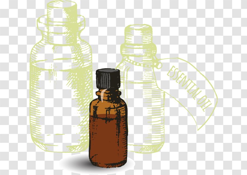 Bottle Essential Oil Aroma Compound Volatility - Chemical Property Transparent PNG