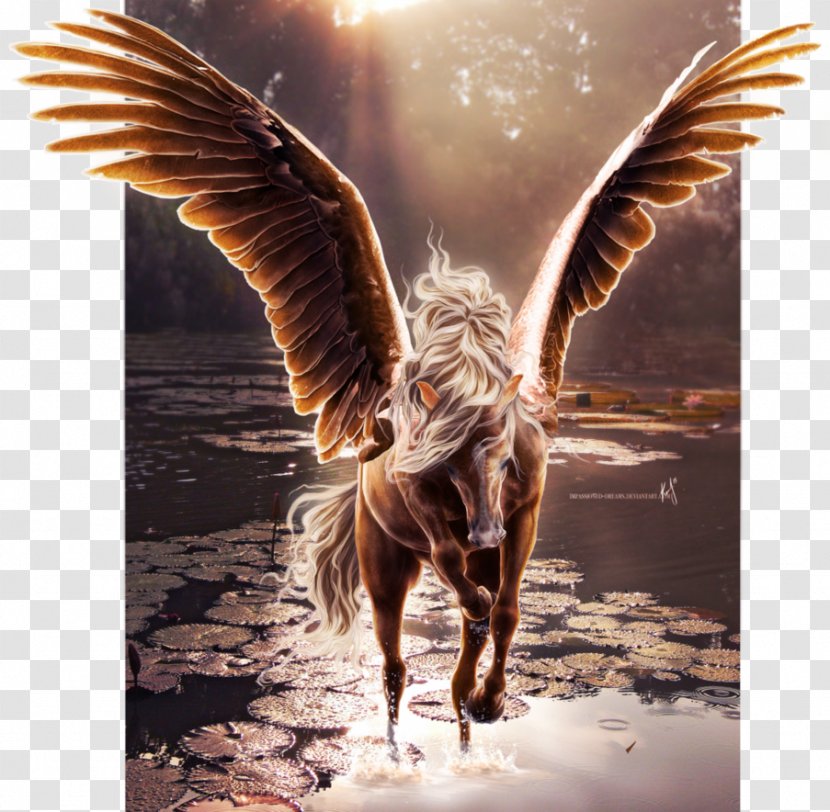Flying Horses Wing Pegasus Unicorn - Fairy - Horse Transparent PNG