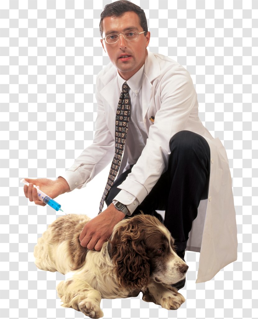 Dog Breed Puppy Veterinarian Transparent PNG