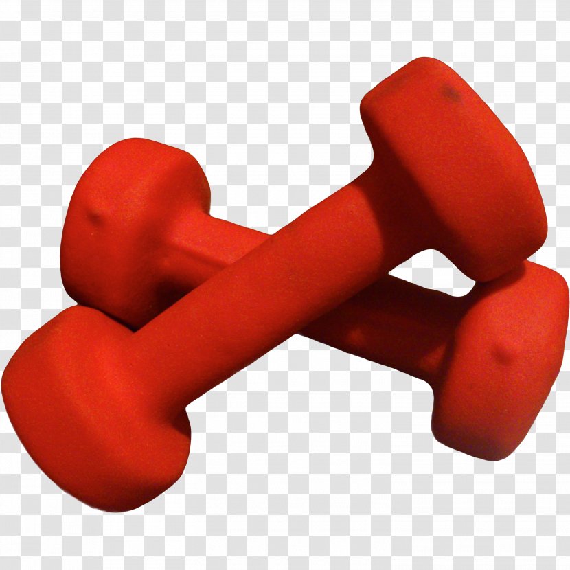 Red Dumbbell Weights Font Exercise Equipment Transparent PNG