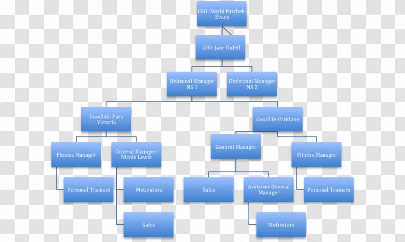 Organizational Structure Chart Fitness Centre GoodLife - Management - Hierarchical Transparent PNG