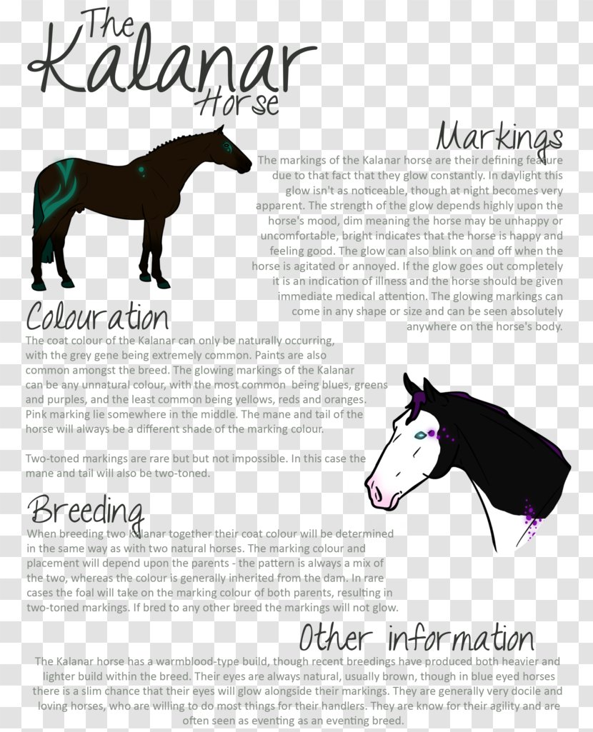 Mustang Horse Tack Freikörperkultur Illustration Military - Letter Of Recommendation - Lily Pad Transparent PNG