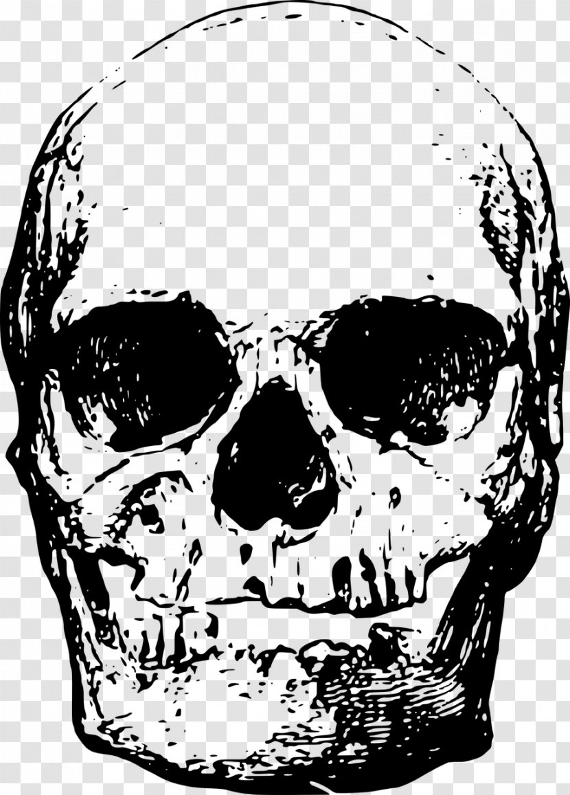 Skull Clip Art - Face Transparent PNG