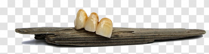 Wood /m/083vt Angle - Strong Tooth Transparent PNG