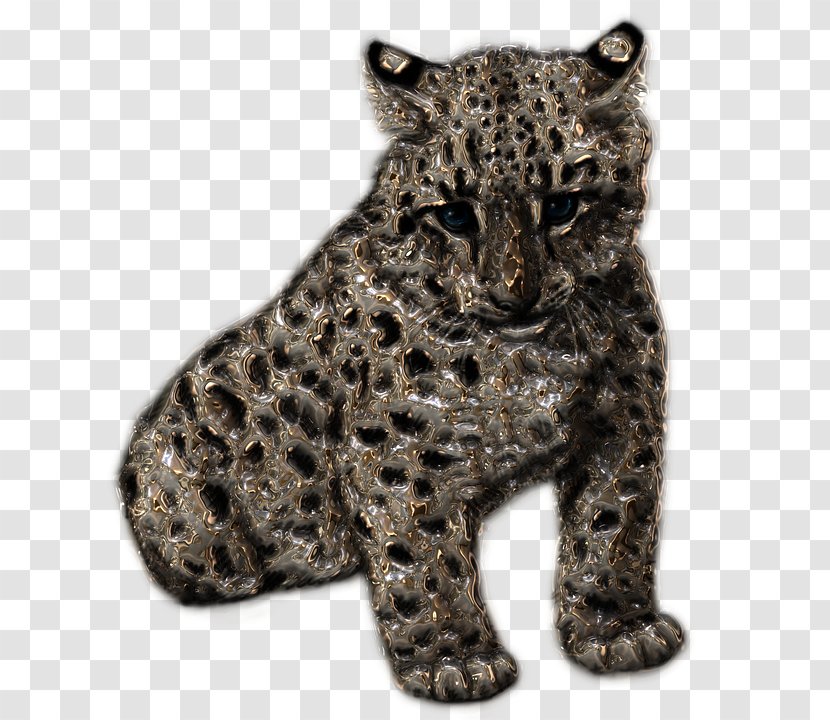Felidae Cheetah Tiger Leopard - Snout - Snowleopard Transparent PNG