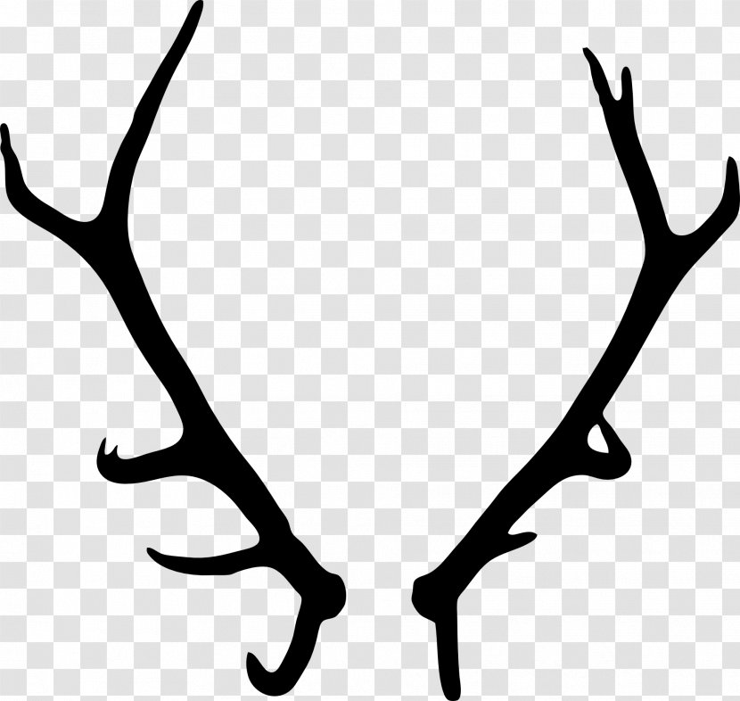 Elk Deer Antler Drawing - Branch Transparent PNG