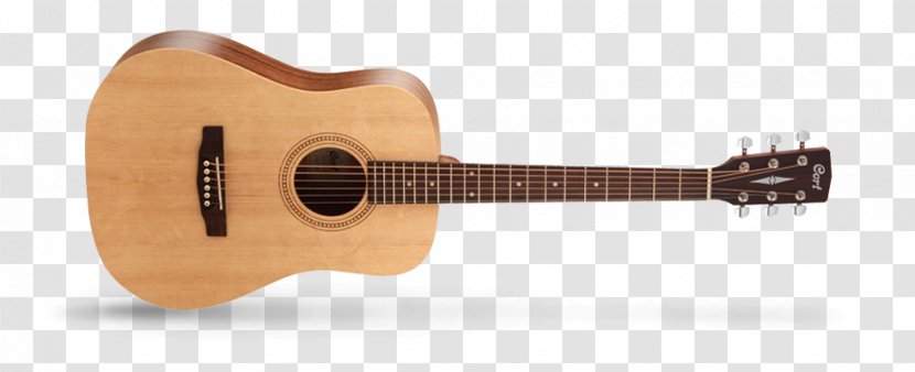 Steel-string Acoustic Guitar Classical Musical Instruments - Tree Transparent PNG