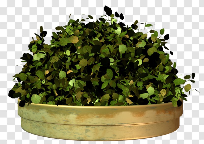 Huatan Flowerpot - Platebande - Flower Transparent PNG