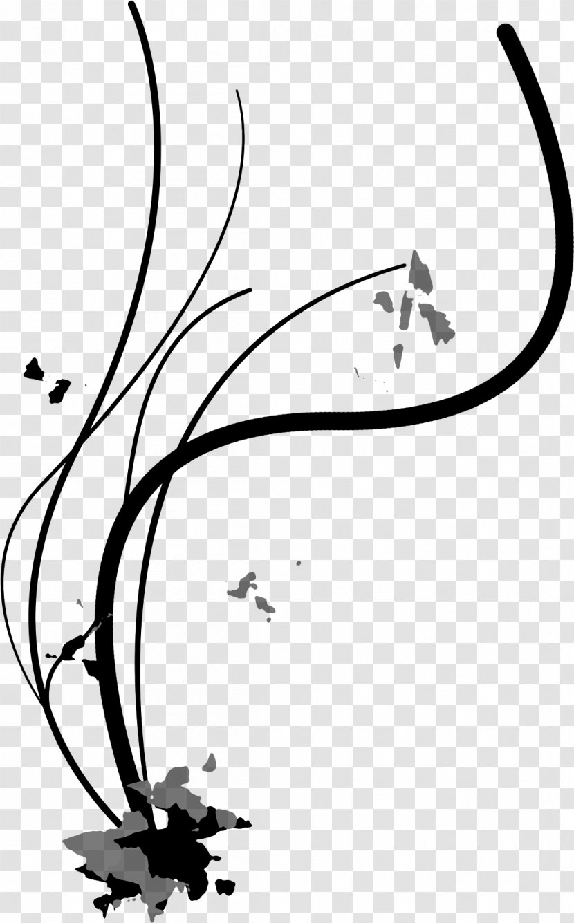 Drawing /m/02csf Line Art Clip - Flower - Beak Transparent PNG