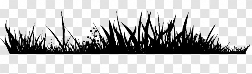 Grass Royalty-free - Depositphotos - Black Transparent PNG