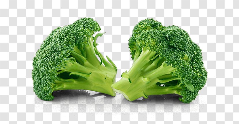 Broccoli Vegetable Cabbage Terapia Siarka Food - Leaf - Florets Transparent PNG