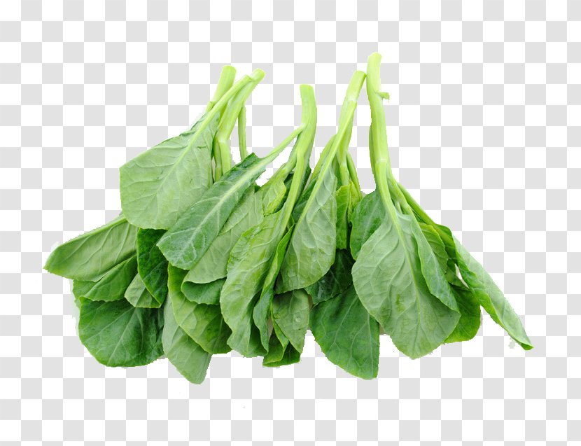 Chinese Broccoli Brassica Juncea Cuisine Cauliflower - Oleracea - Kale Leaves Transparent PNG