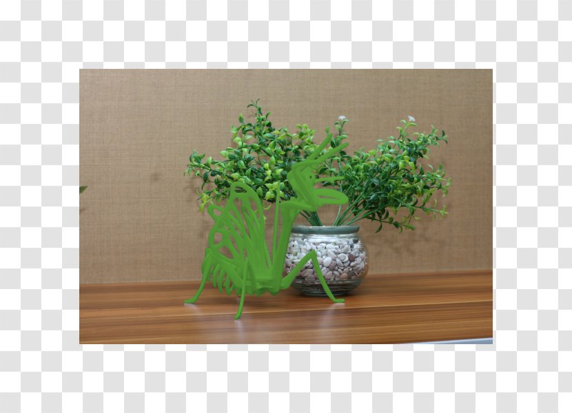 Houseplant Flowerpot Herb - Praying Mantis Transparent PNG