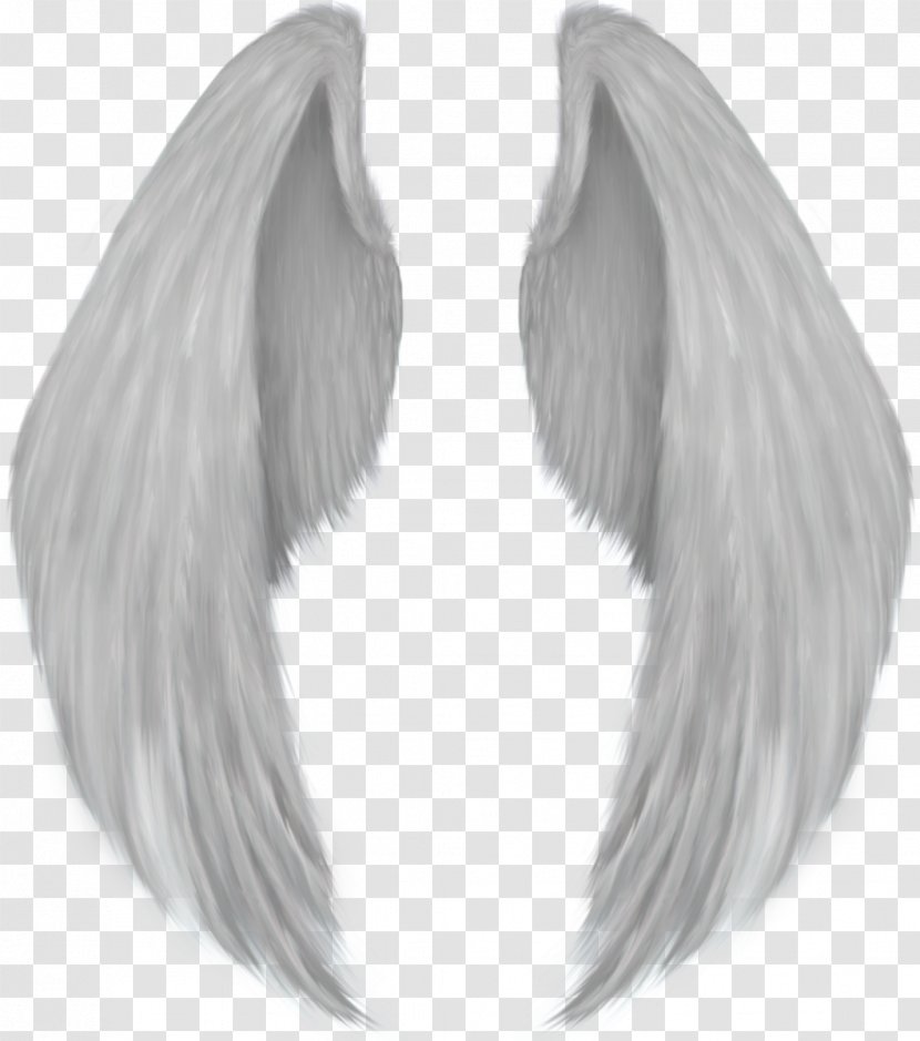 Angel Wing Drawing - Tail - Wings Transparent PNG