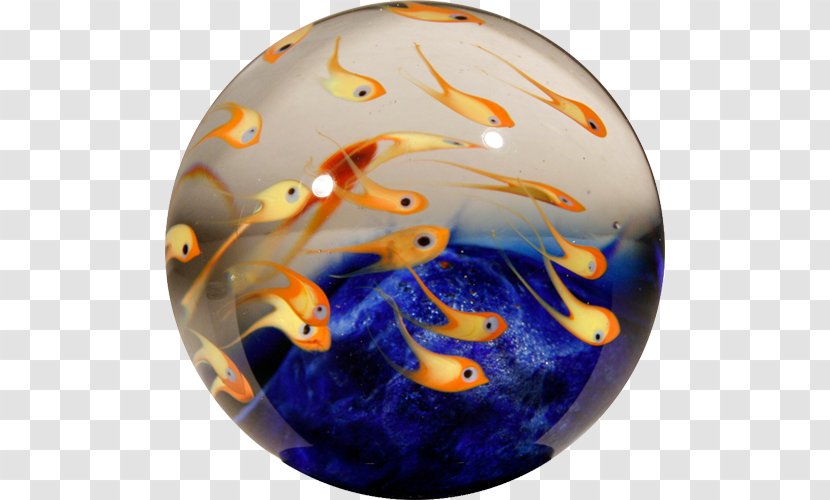 Paperweight Fish Ball Glass Marine Biology Transparent PNG