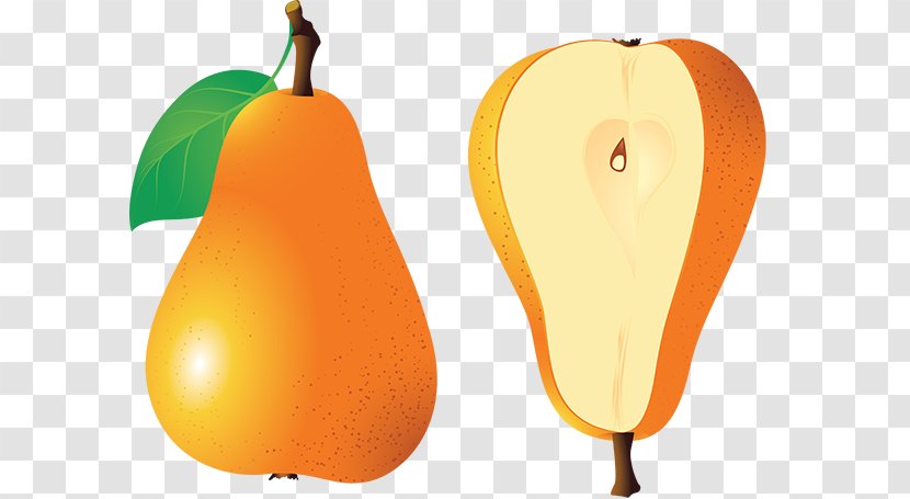 Pear Clip Art Fruit Photography - Image File Formats Transparent PNG