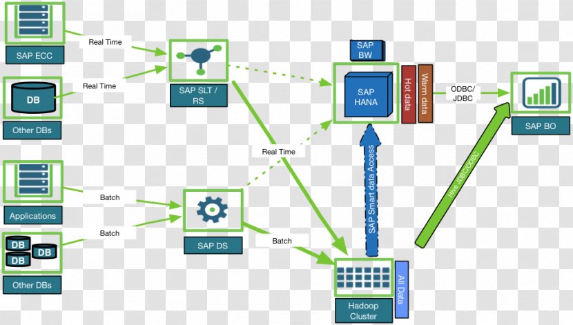 Apache Hadoop SAP SE Computer Software Big Data HANA - Multimedia - Area Transparent PNG