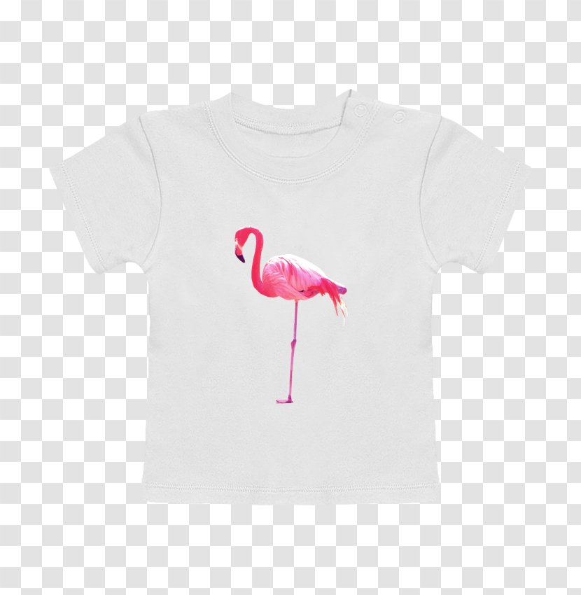 T-shirt Sleeve Pink M Neck Outerwear - Flamingo Transparent PNG