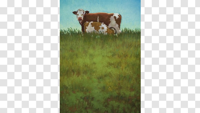 Dairy Cattle Pastel Calf Painting - Sheep - WATERCOLOR COWS Transparent PNG