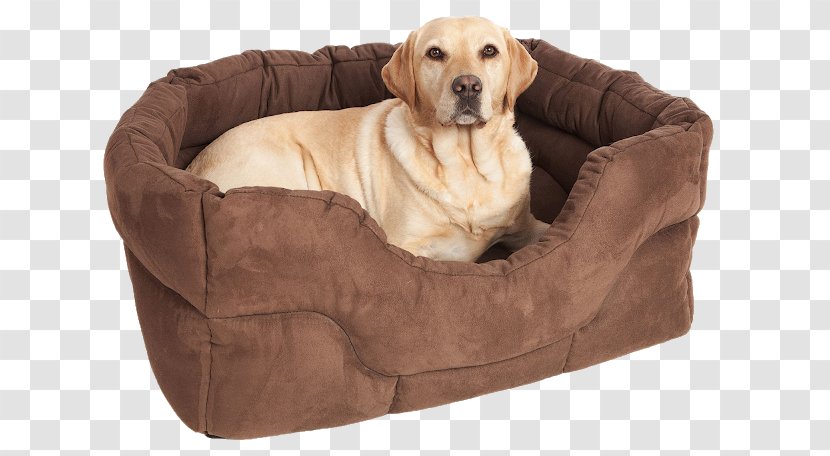 Dog Grooming Puppy Bed Pet - Fancy Transparent PNG