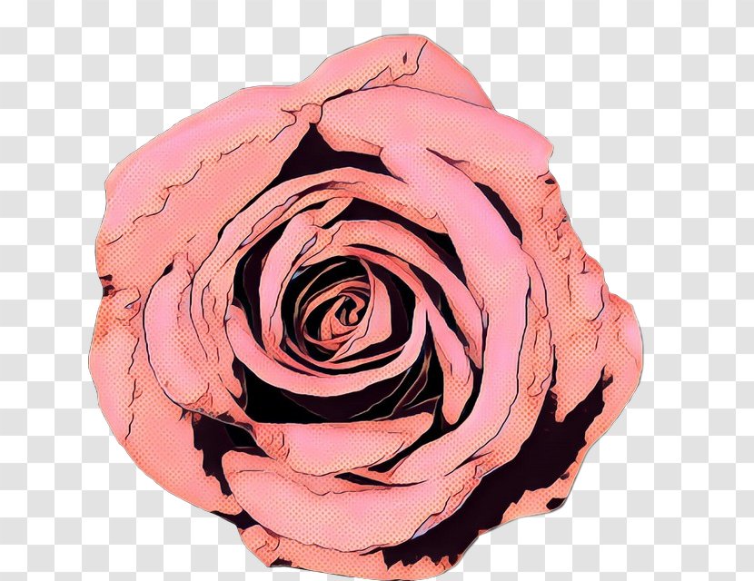 Pink Flower Cartoon - Peach - Camellia Transparent PNG
