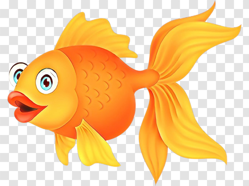 Fish Fish Goldfish Fin Pomacentridae Transparent PNG