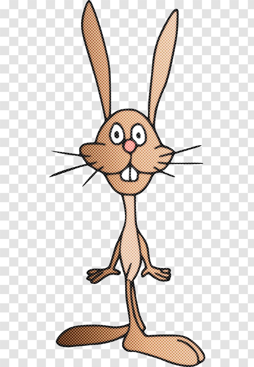 Cartoon Whiskers Nose Line Snout - Rabbits And Hares Tail Transparent PNG