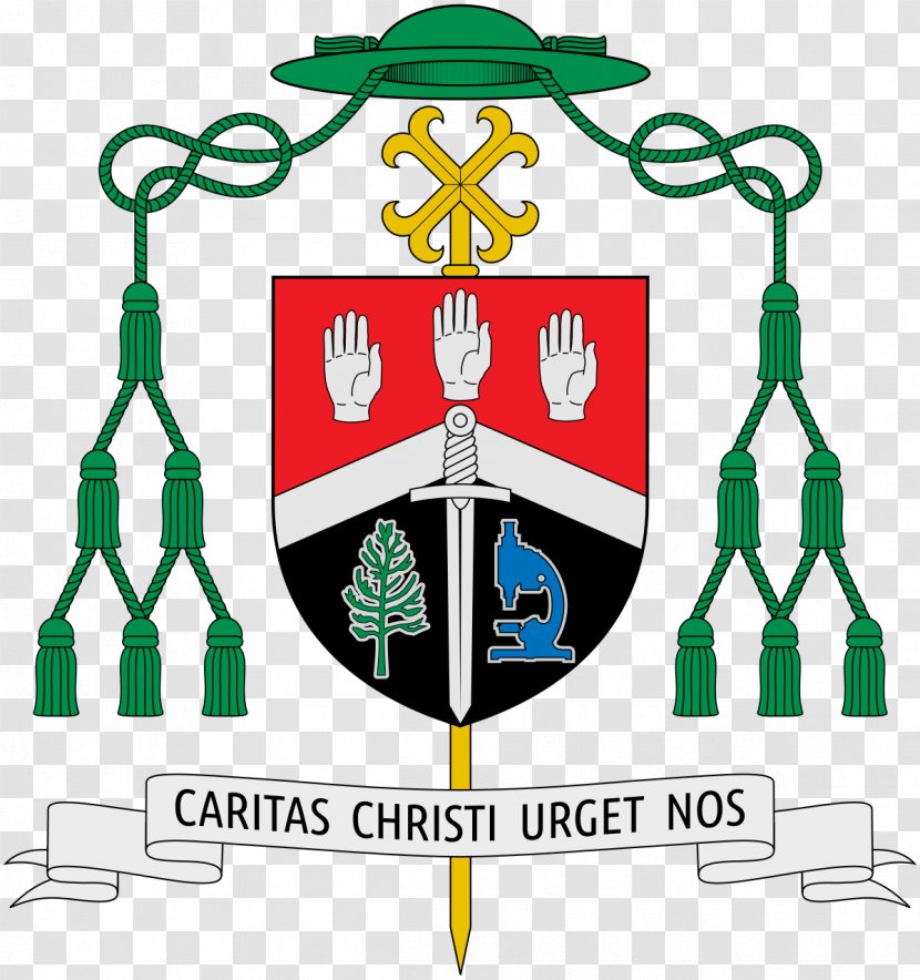 Roman Catholic Archdiocese Of Agaña Bishop Catholicism Pope - Brand - Crest Crossed Axes Transparent PNG