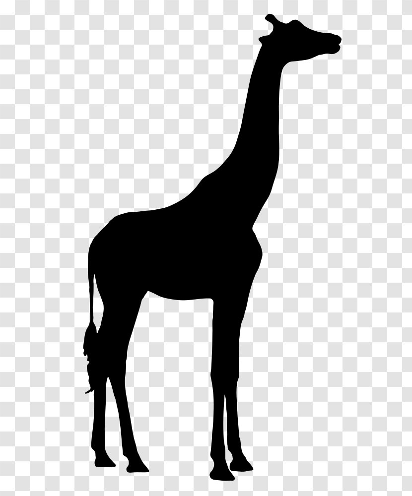 Vector Graphics Image Clip Art Silhouette Illustration - Giraffe - Royaltyfree Transparent PNG