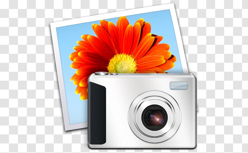 Windows Photo Gallery Movie Maker Live Microsoft - Filename Extension - Icon Transparent PNG