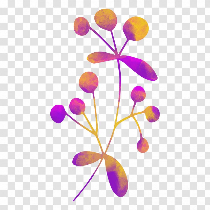 Euclidean Vector Flower - Pattern - Floral Element Graphic Transparent PNG
