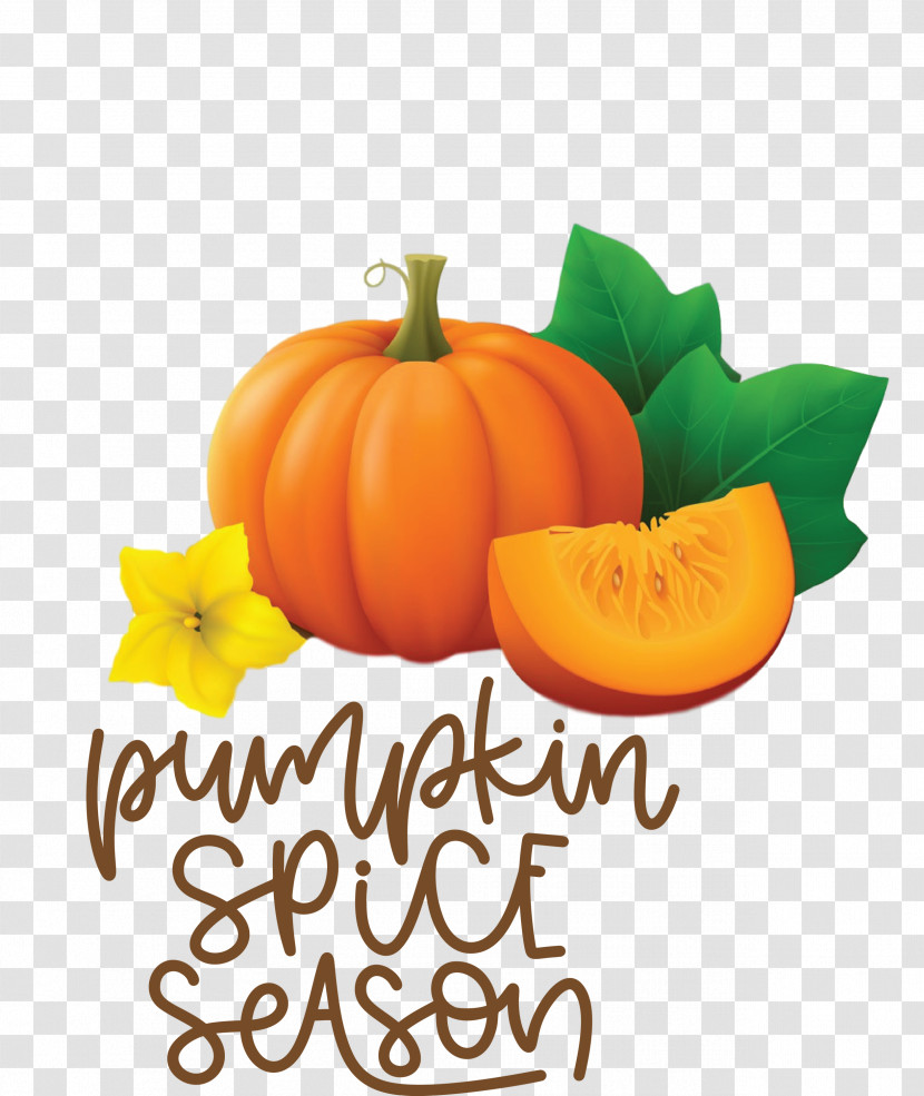 Autumn Pumpkin Spice Season Pumpkin Transparent PNG