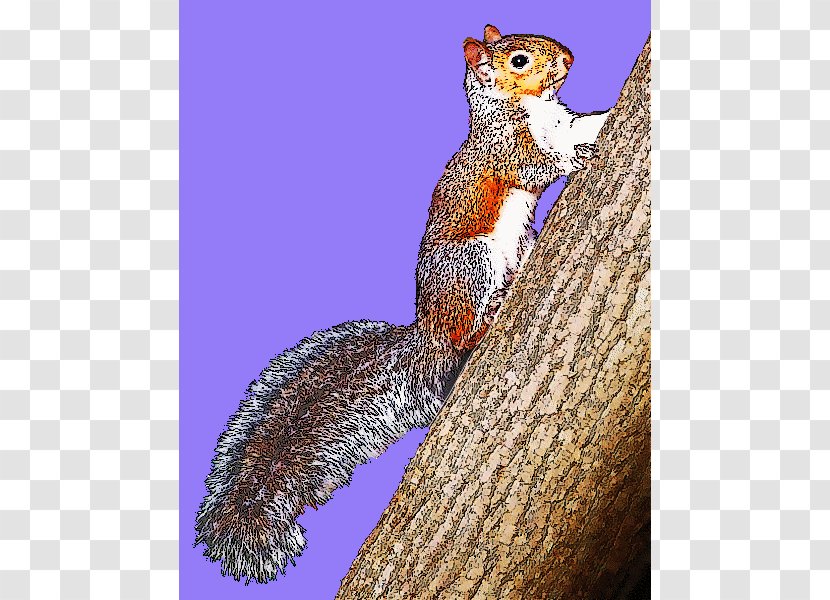 Eastern Gray Squirrel Clip Art Openclipart Free Content - Grey Transparent PNG