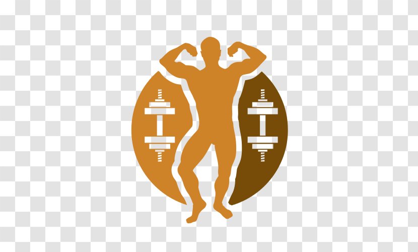 Bodybuilding Weight Training Exercise Physical Fitness Olympic Weightlifting - Symbol - Candyshop Insignia Transparent PNG