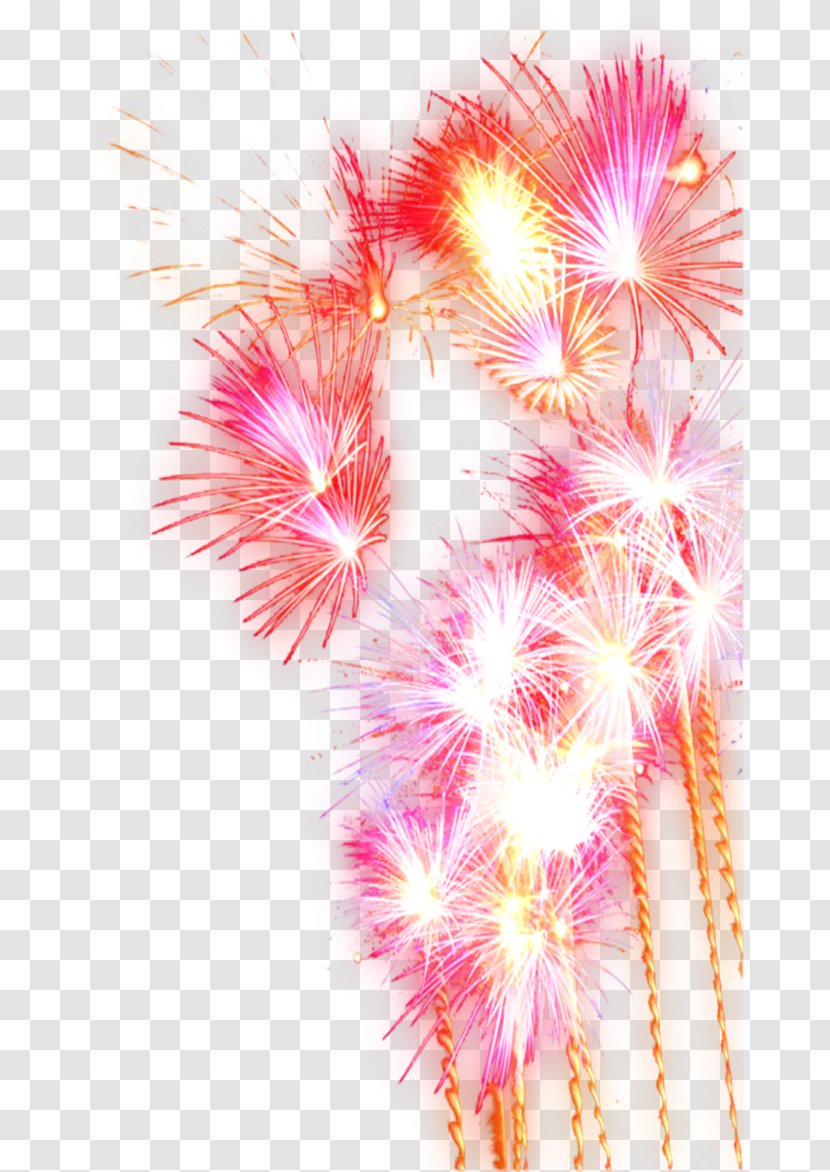 Fireworks Festival Pyrotechnics Transparent PNG