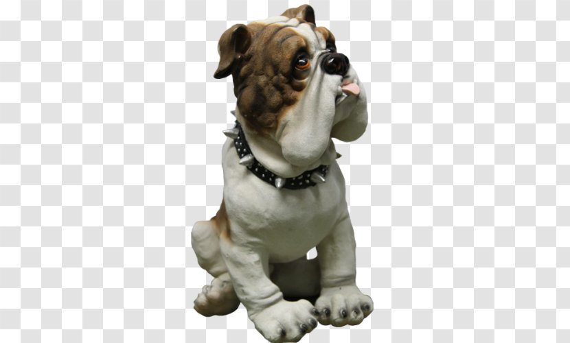 Toy Bulldog Olde English Bulldogge Dorset Tyme Dog Breed - Old - Puppy Transparent PNG
