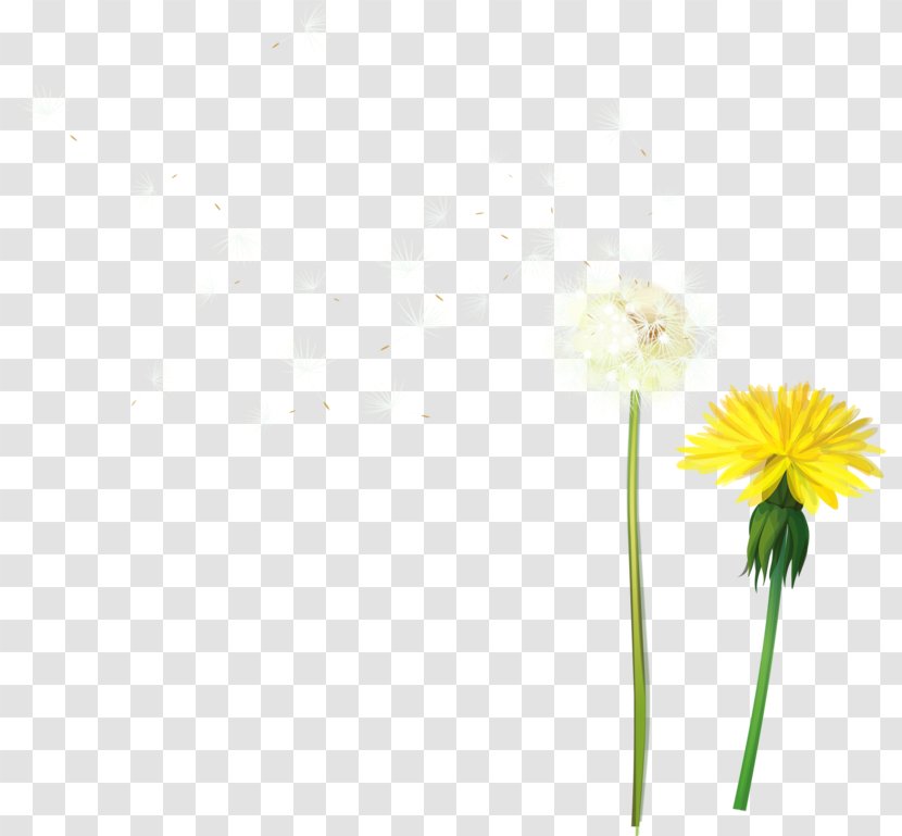 Download Icon - Resource - Dandelion Transparent PNG