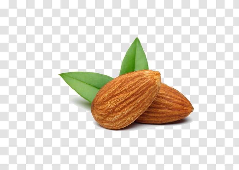 Nut Almond Food Apricot Kernel - Superfood Transparent PNG