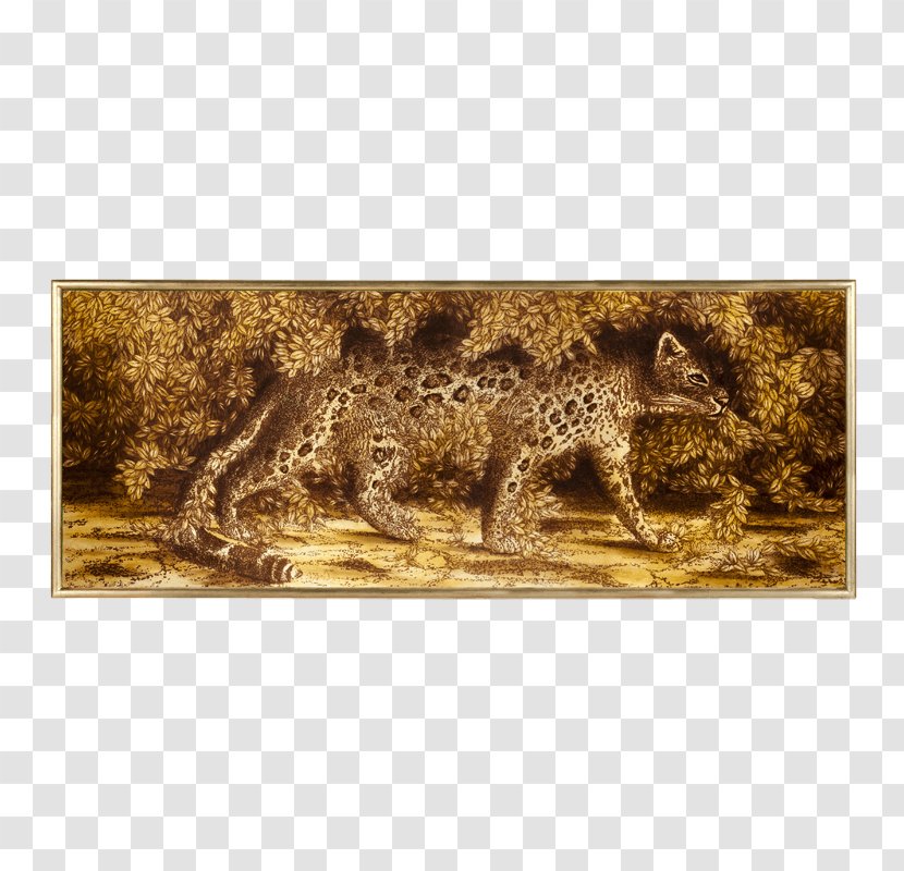 Wildlife Fauna Stock Photography Carnivora - Leopardo Transparent PNG