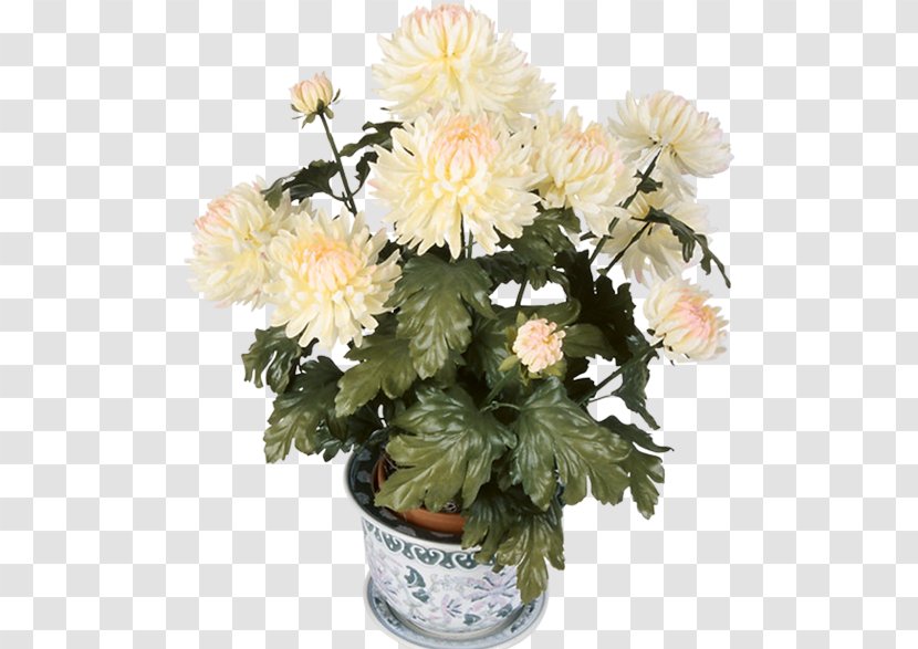 Chrysanthemum Cut Flowers Dahlia Clip Art Transparent PNG