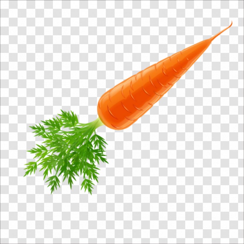 Juice Carrot Vegetable - Mung Bean Transparent PNG