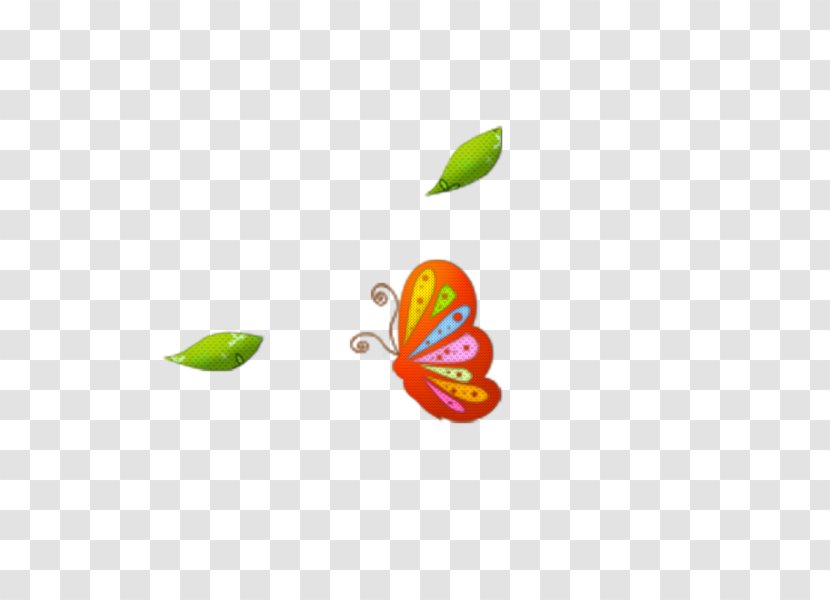 Butterfly Computer Wallpaper - Insect Transparent PNG